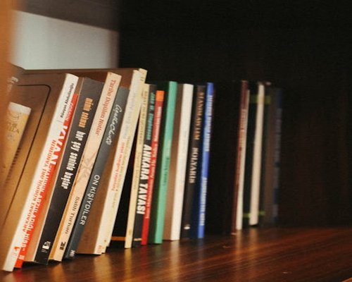 Organized print books arranged neatly on a wooden bookshelf with balanced soft room lighting